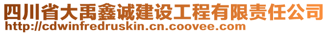 四川省大禹鑫誠建設(shè)工程有限責任公司