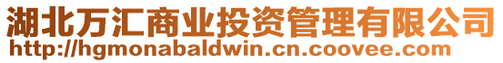 湖北萬匯商業(yè)投資管理有限公司