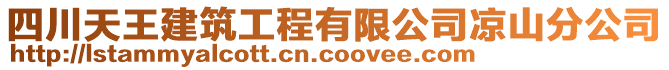 四川天王建筑工程有限公司涼山分公司