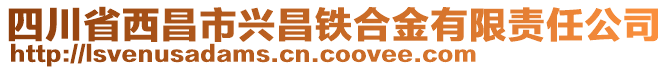 四川省西昌市興昌鐵合金有限責任公司