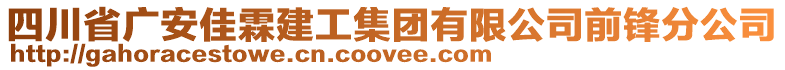 四川省廣安佳霖建工集團有限公司前鋒分公司