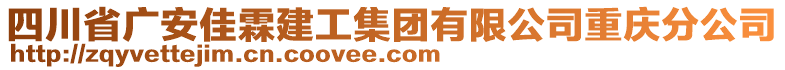 四川省廣安佳霖建工集團有限公司重慶分公司