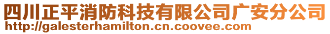 四川正平消防科技有限公司廣安分公司