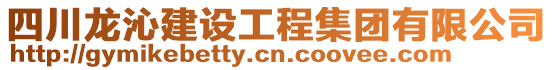 四川龍沁建設(shè)工程集團(tuán)有限公司