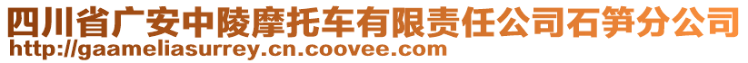 四川省廣安中陵摩托車有限責(zé)任公司石筍分公司