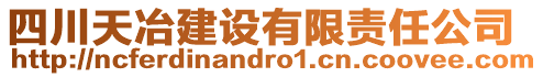 四川天冶建設(shè)有限責任公司