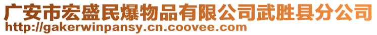 廣安市宏盛民爆物品有限公司武勝縣分公司