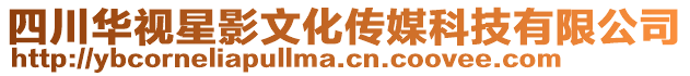 四川華視星影文化傳媒科技有限公司