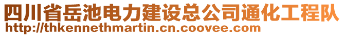 四川省岳池電力建設(shè)總公司通化工程隊(duì)