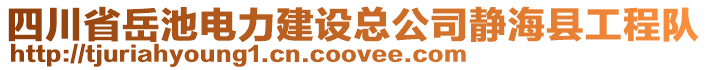 四川省岳池電力建設(shè)總公司靜?？h工程隊(duì)