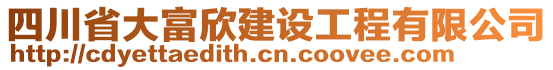 四川省大富欣建設(shè)工程有限公司