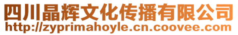 四川晶輝文化傳播有限公司