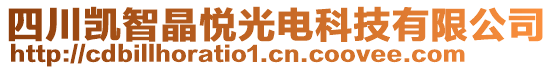 四川凱智晶悅光電科技有限公司