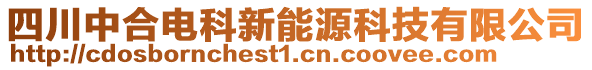 四川中合電科新能源科技有限公司