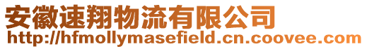 安徽速翔物流有限公司