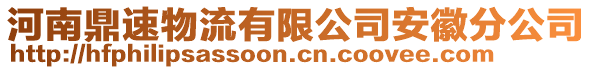 河南鼎速物流有限公司安徽分公司