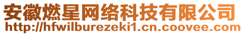 安徽燃星網(wǎng)絡(luò)科技有限公司