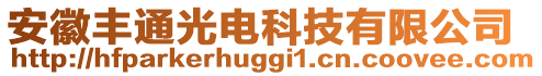 安徽豐通光電科技有限公司