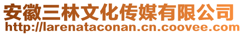 安徽三林文化傳媒有限公司