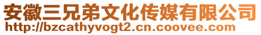 安徽三兄弟文化傳媒有限公司