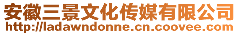 安徽三景文化傳媒有限公司