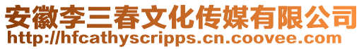 安徽李三春文化傳媒有限公司