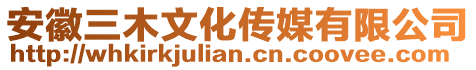 安徽三木文化傳媒有限公司