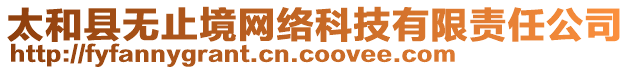 太和縣無止境網(wǎng)絡科技有限責任公司