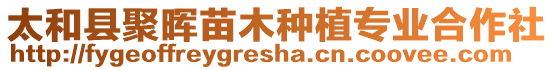 太和縣聚暉苗木種植專業合作社