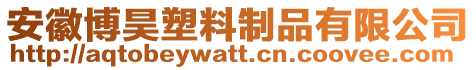 安徽博昊塑料制品有限公司