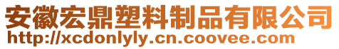 安徽宏鼎塑料制品有限公司