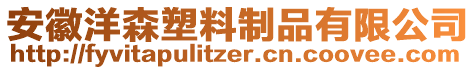 安徽洋森塑料制品有限公司