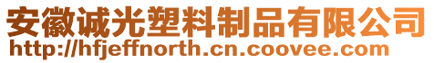 安徽誠光塑料制品有限公司