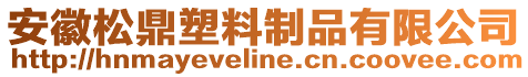 安徽松鼎塑料制品有限公司