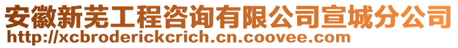 安徽新蕪工程咨詢有限公司宣城分公司