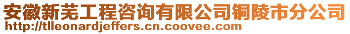 安徽新蕪工程咨詢有限公司銅陵市分公司