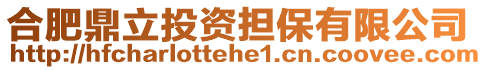 合肥鼎立投資擔(dān)保有限公司