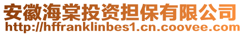 安徽海棠投資擔保有限公司