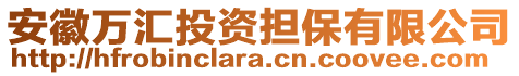 安徽萬匯投資擔(dān)保有限公司