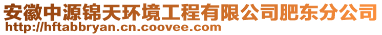 安徽中源錦天環(huán)境工程有限公司肥東分公司