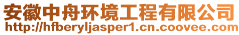 安徽中舟環(huán)境工程有限公司