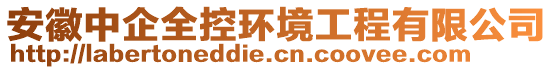 安徽中企全控環(huán)境工程有限公司