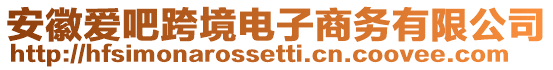 安徽愛吧跨境電子商務(wù)有限公司