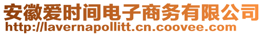 安徽愛時(shí)間電子商務(wù)有限公司