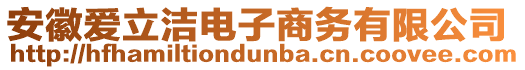 安徽愛立潔電子商務有限公司