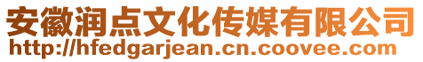 安徽潤點文化傳媒有限公司