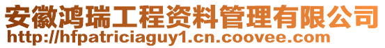 安徽鴻瑞工程資料管理有限公司