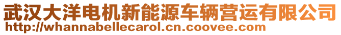 武漢大洋電機新能源車輛營運有限公司