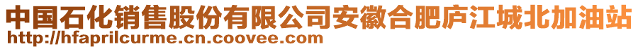 中國石化銷售股份有限公司安徽合肥廬江城北加油站