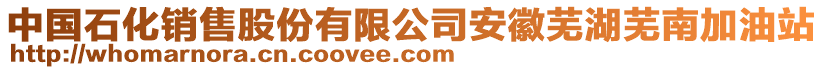 中國(guó)石化銷售股份有限公司安徽蕪湖蕪南加油站